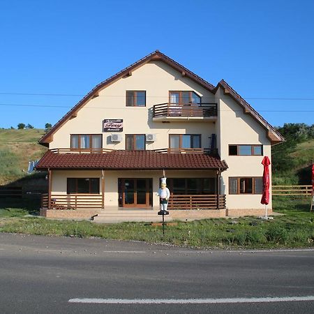 Pensiunea Fery Slobozia-Oancea Екстер'єр фото