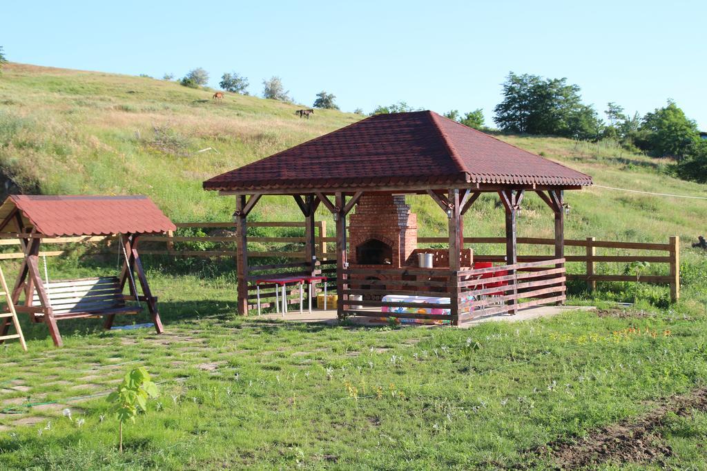 Pensiunea Fery Slobozia-Oancea Екстер'єр фото